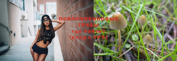 первитин Медвежьегорск
