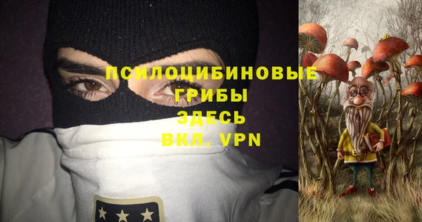 apvp Михайловск