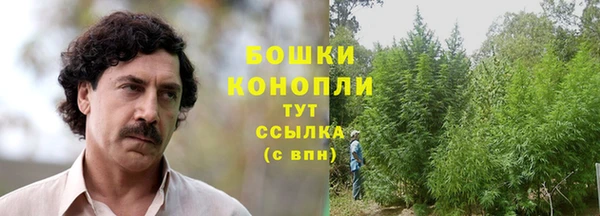 первитин Медвежьегорск